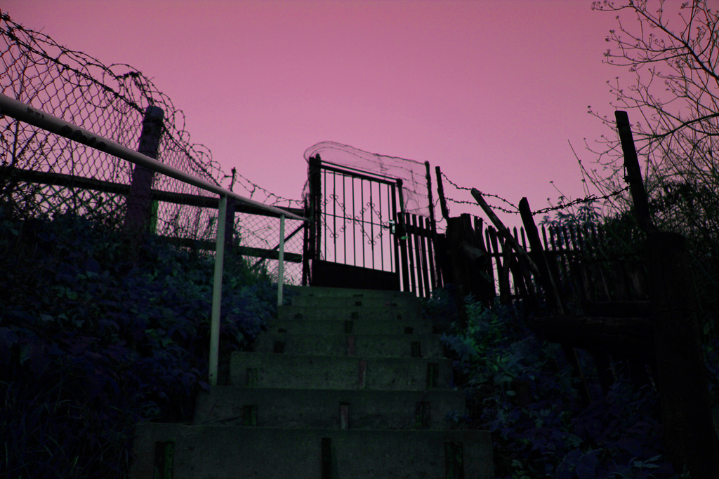 Foto Mayko Gate of Wonderworld