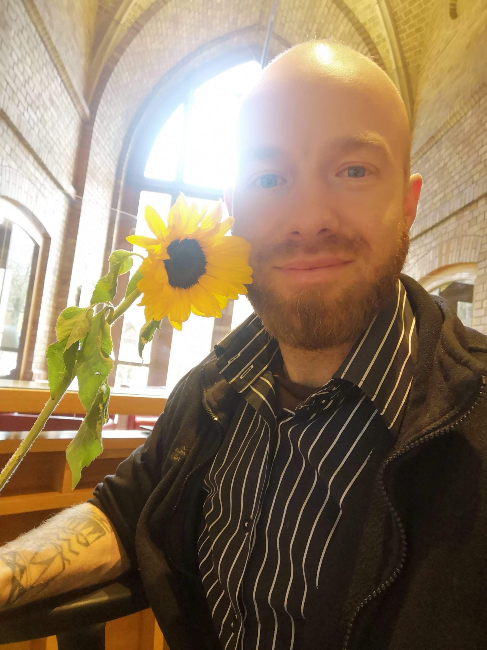 georg kirschstein sonnenblume georg kirschstein mit sonnenblume